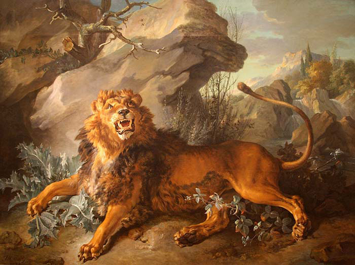 The Lion and the Spider